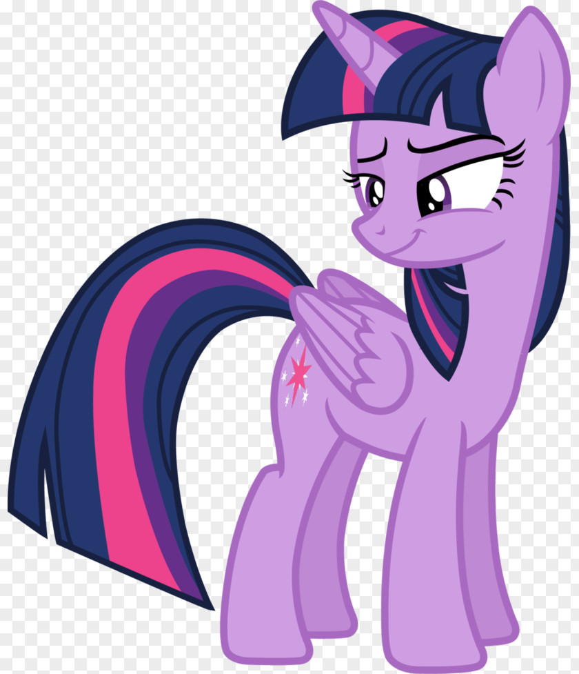 Deal With It Twilight Sparkle Pinkie Pie Rarity Pony Princess Celestia PNG