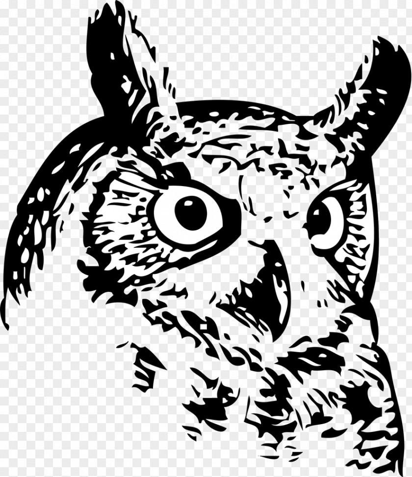 Owls Great Horned Owl Bird Snowy Clip Art PNG