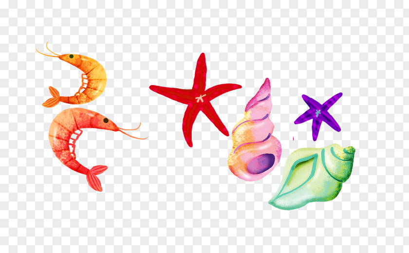 Starfish Graphic Design Seafood PNG