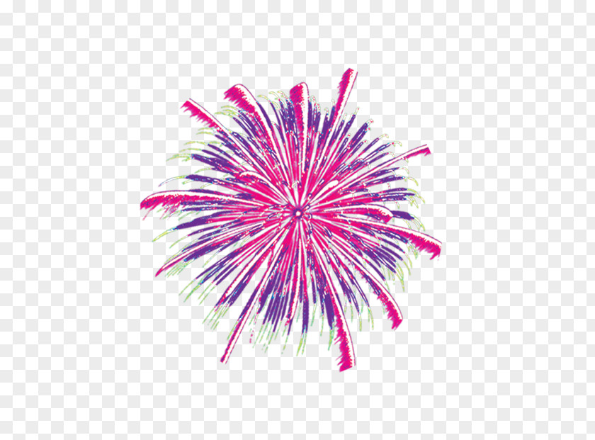Fireworks Adobe Mulberry PNG