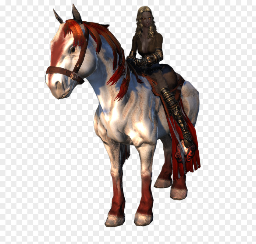 Neverwinter Mustang Pony Stallion PNG