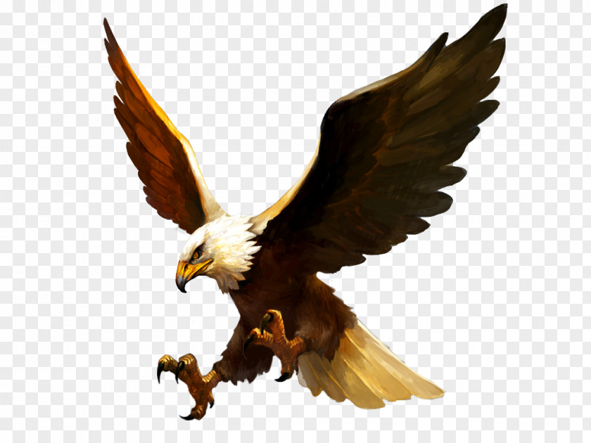 Bird Might And Magic: Heroes Online Bald Eagle Video Game PNG