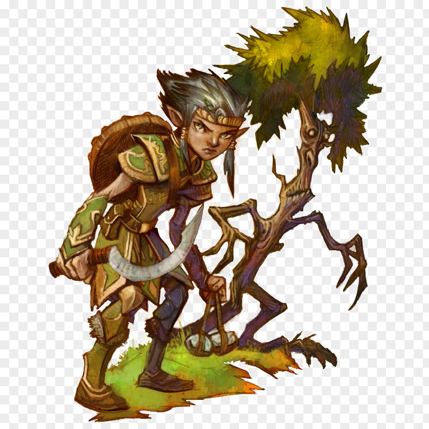 Gnome Dungeons & Dragons Character Halfling Druid PNG