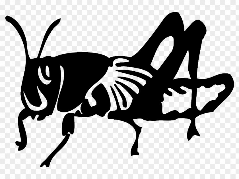 Insect Black Locust Silhouette Public Relations PNG