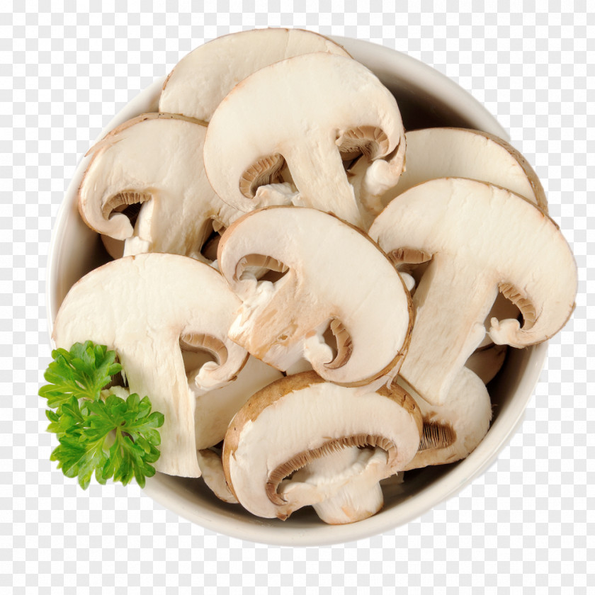 Mushroom Common Food Shutterstock Eating PNG