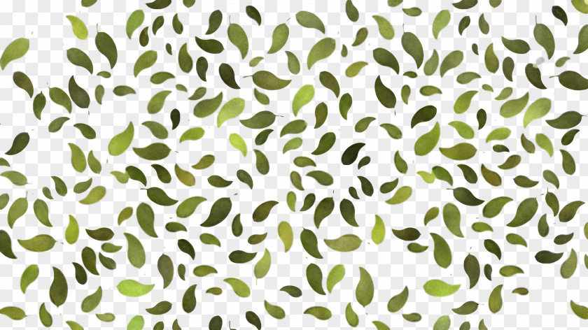 Pattern Leaf Hue Green Plant Stem PNG