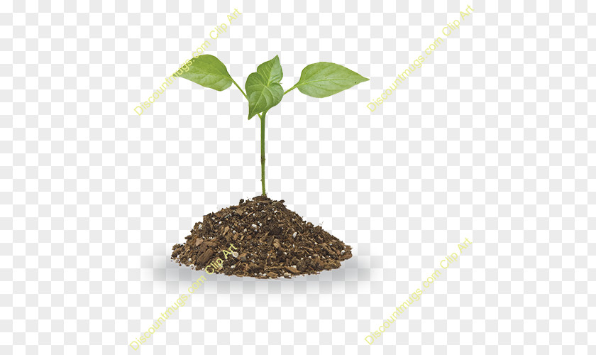 Plant Soil Clip Art PNG