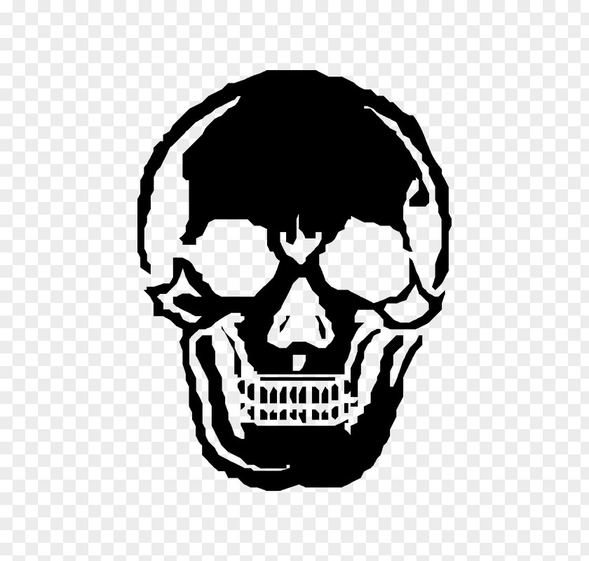Skull Image Human Skeleton PNG
