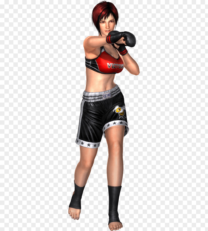 Dead Or Alive 5 Last Round Ultimate Plus PNG