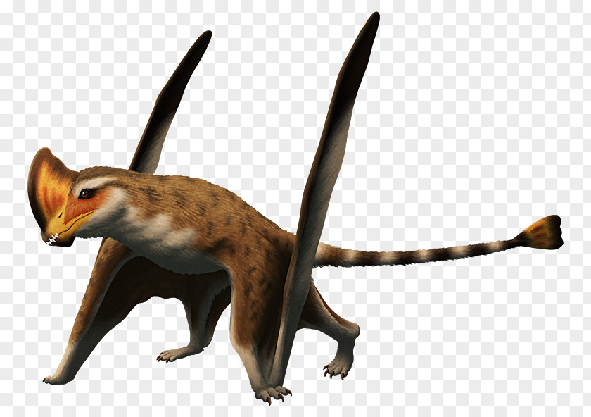 Dinosaur Caviramus Red Fox Rhamphorhynchoidea Triassic PNG