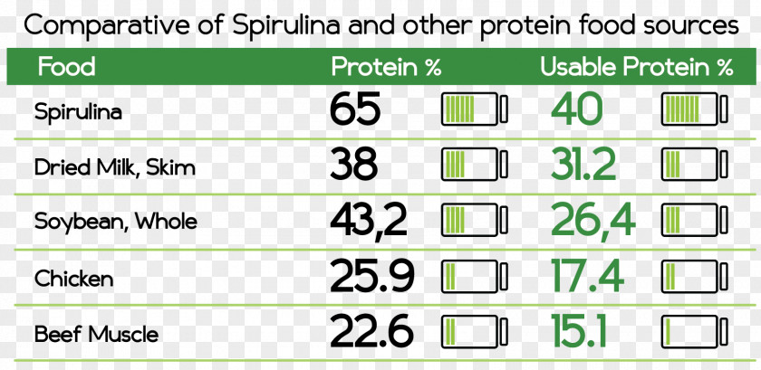 Meat Nutrient Spirulina Protein Food Algae PNG