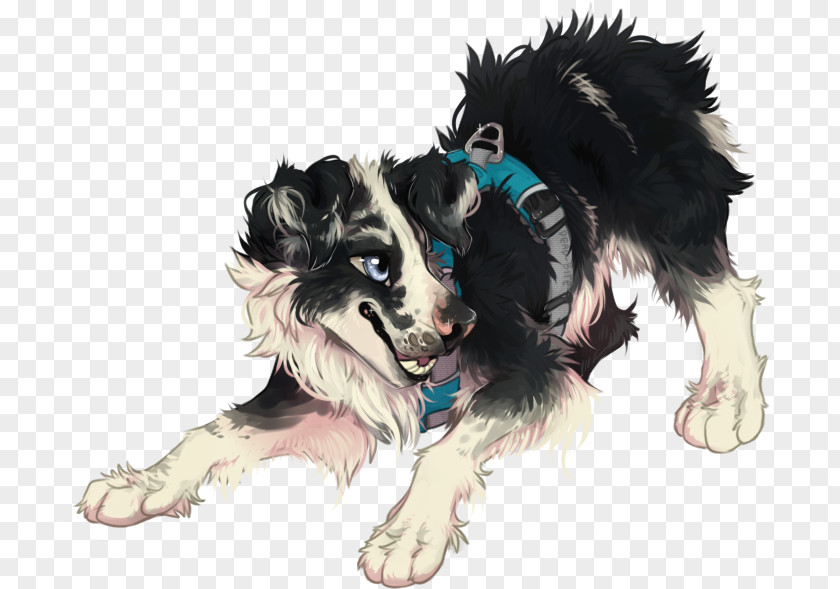 Puppy Dog Breed Border Collie Rough Snout PNG