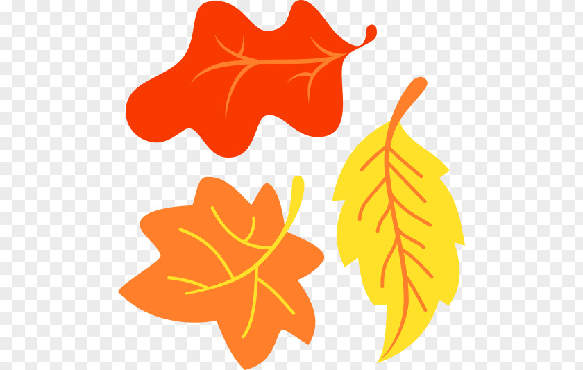 Autumn Cutie Mark Crusaders Leaf Color DeviantArt PNG