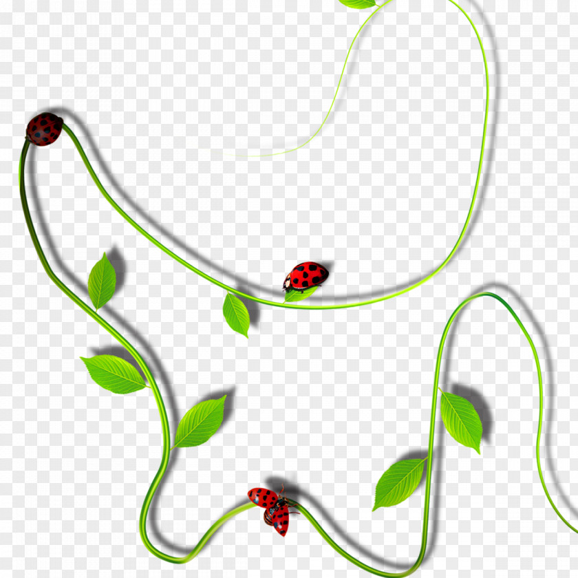 Plant Vine Clip Art PNG