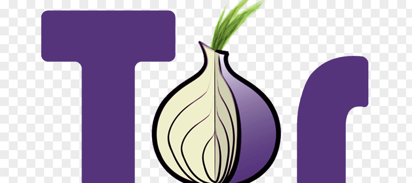 Proxy The Tor Project, Inc .onion Onion Routing Dark Web PNG