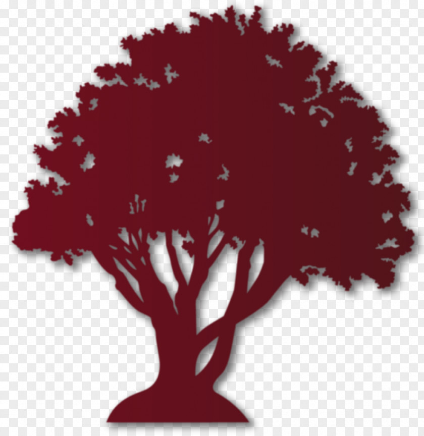 Tree Font PNG