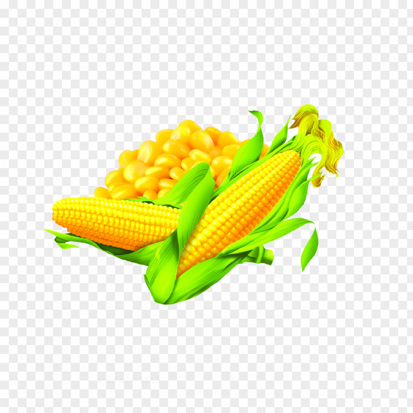Corn On The Cob Maize Oil Food PNG