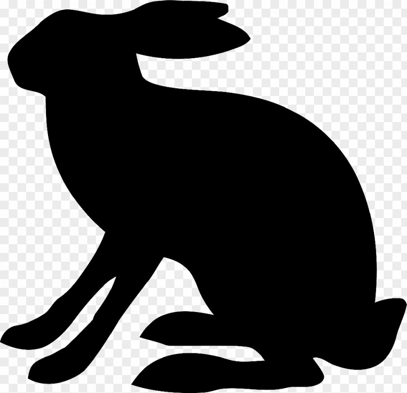 Dog Whiskers Clip Art Mammal Canidae PNG