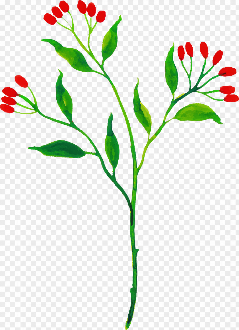 Floral Design PNG