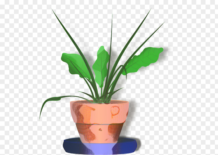Flowerpot Houseplant Clip Art Plants PNG