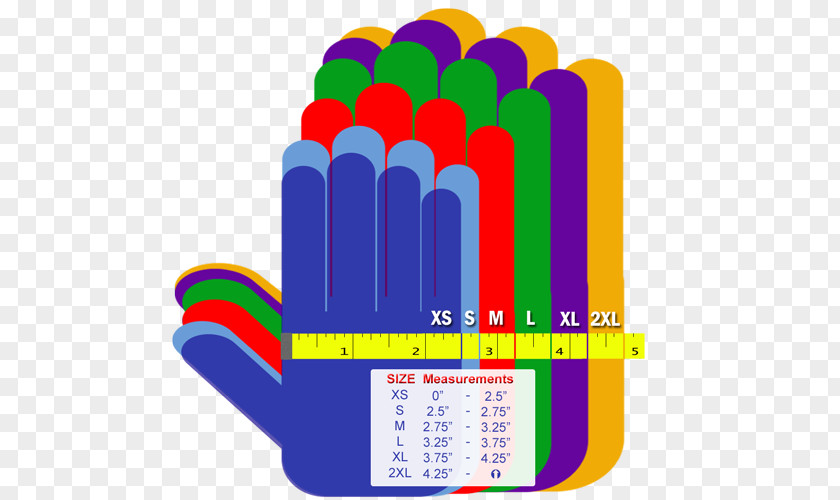 Hand Medical Glove Clothing Sizes Disposable PNG