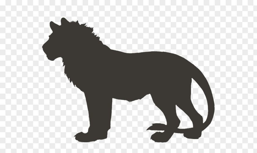 Lion Felidae Leopon Big Cat PNG