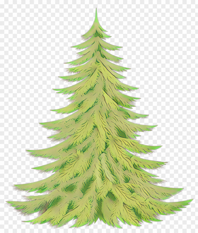Shortleaf Black Spruce Balsam Fir Yellow Columbian Oregon Pine PNG