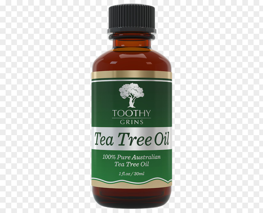 Tea Tree Oil Narrow-leaved Paperbark Plant PNG