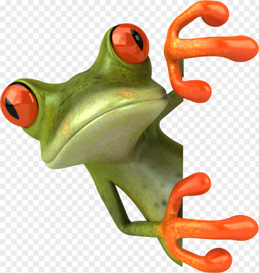 Crazy Frog Cartoon Clip Art PNG