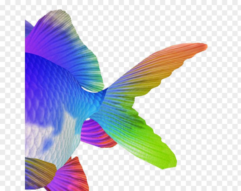 Fish Goldfish Hummingbird M Tail PNG