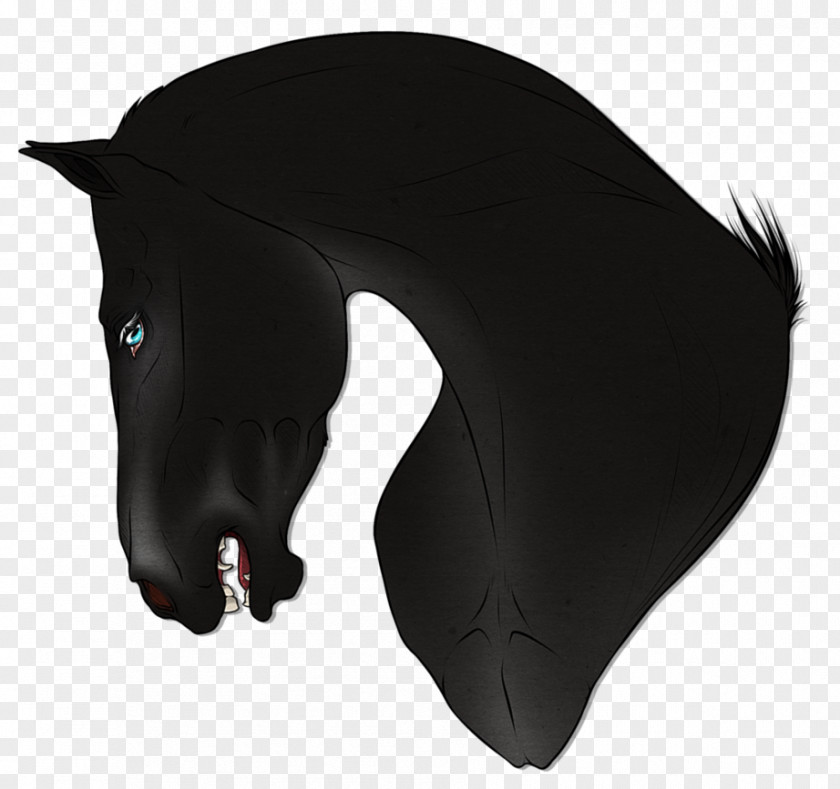 Horse Mammal Headgear Snout Black M PNG