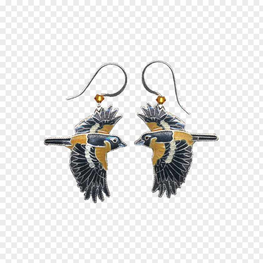 Jewellery Earring Bird Necklace Silver PNG