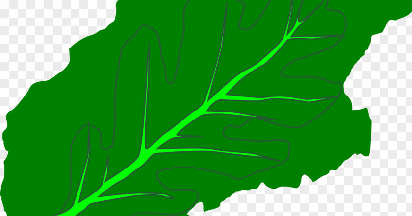 Leaf Greens Plant Stem Font Tree PNG