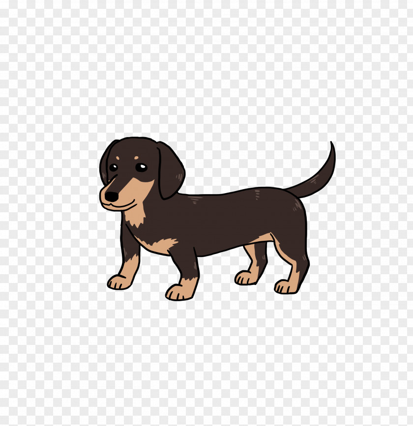 Puppy Dachshund Love Companion Dog Breed PNG