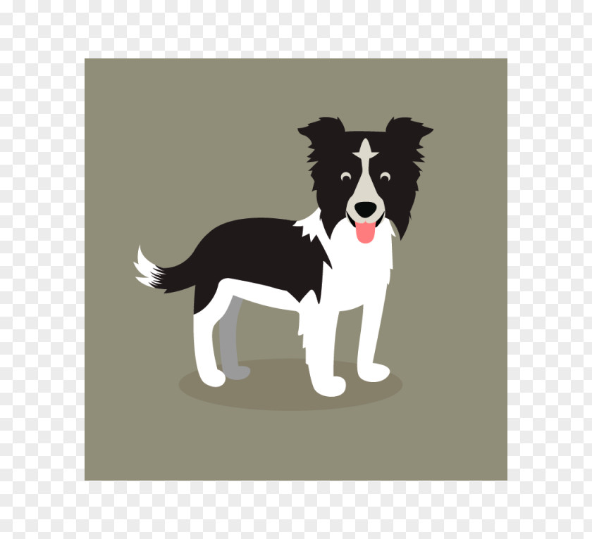 Puppy Dog Breed Border Collie Poodle Rough PNG