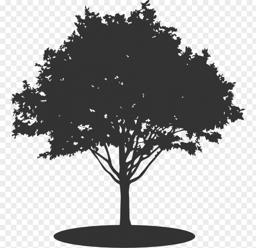 Silhouette Drawing Royalty-free PNG