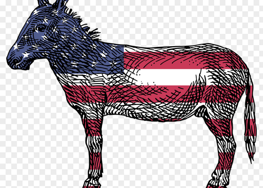United States Reasons To Vote For Democrats: A Comprehensive Guide Democratic Party Voting Republican PNG