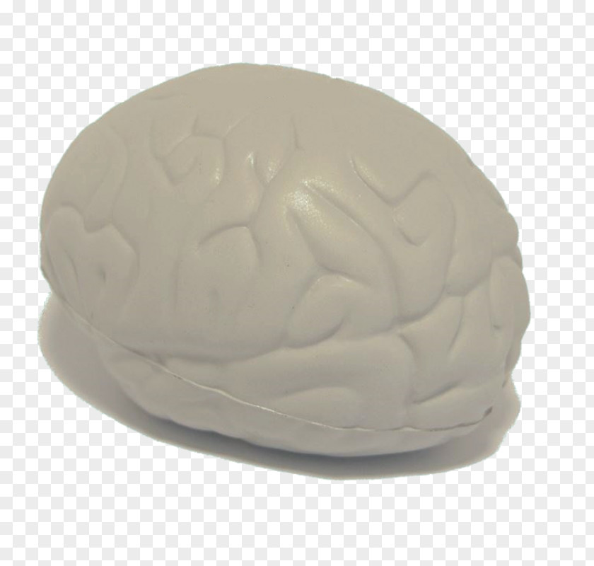 Design Brain PNG