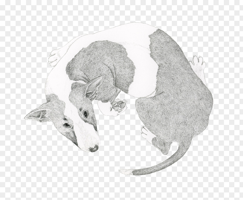 Dog Licking Cat Veterinarian Paw PNG