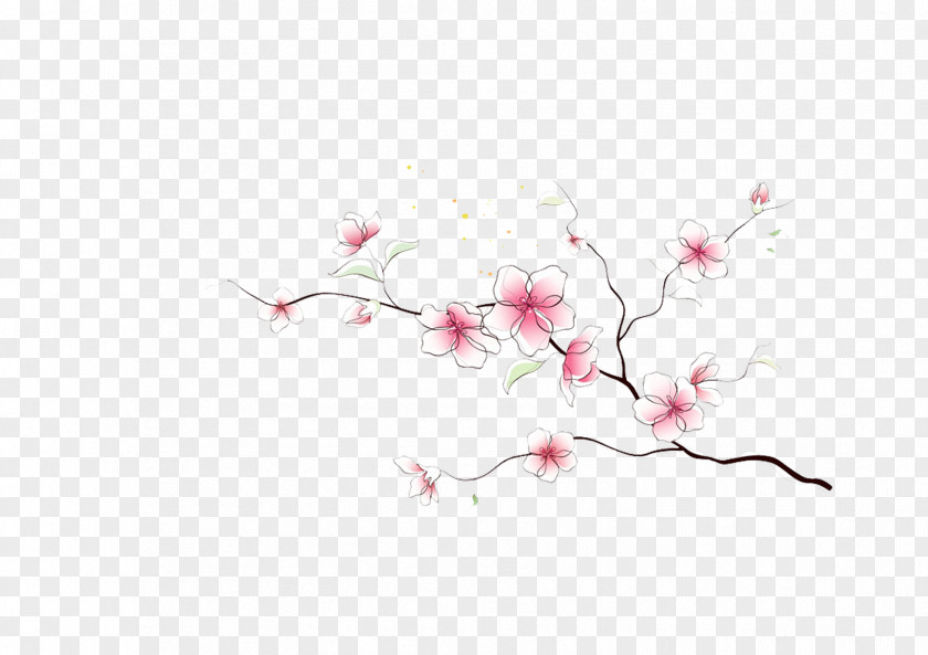 Floral Decorative Pattern Adobe Illustrator Wallpaper PNG