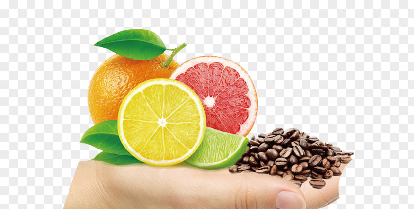 Ginseng Sprout Juice Bitter Orange Flavor Lemon PNG