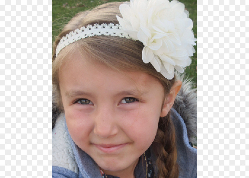 Jewellery Headpiece Headband Hair Tie Flower PNG