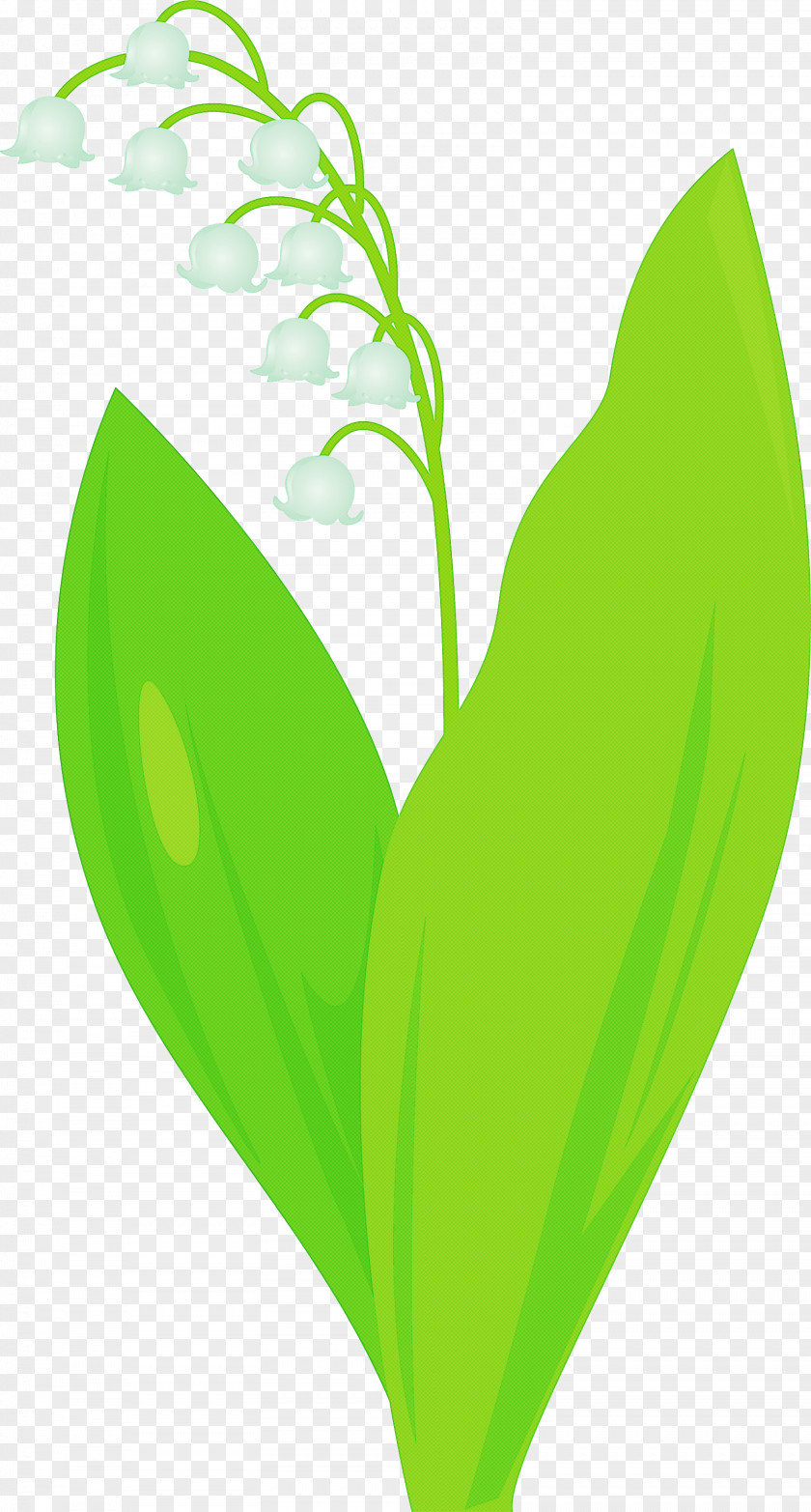 Lily Bell Flower PNG