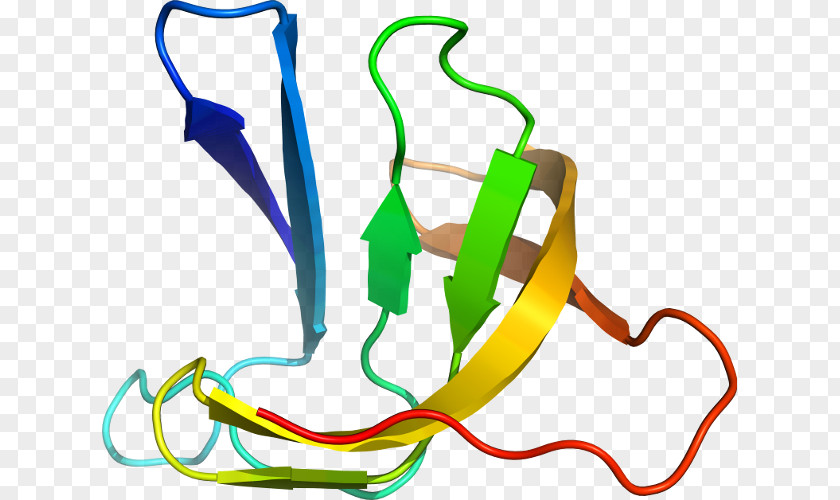 Line Clip Art PNG