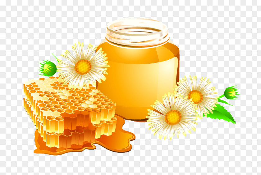 Bee Honey Vector Graphics Honeycomb Clip Art PNG