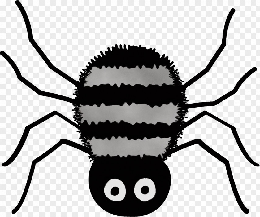 Blackandwhite Arachnid Insect Black Head Pest Spider PNG