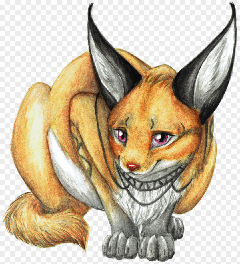Cat Whiskers Red Fox Wildcat Illustration PNG