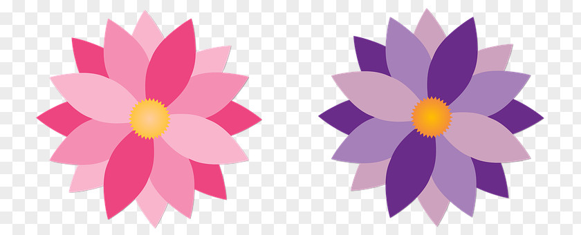 Clip Art Flower Water Color Pink M PNG
