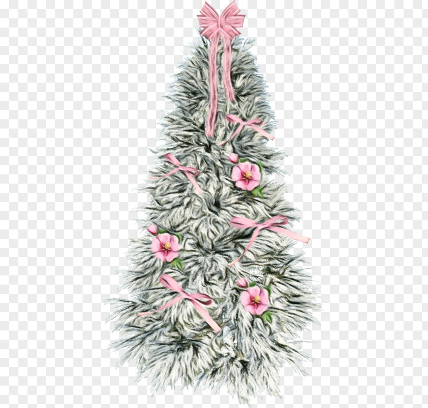 Colorado Spruce Oregon Pine Pink Plant Balsam Fir PNG