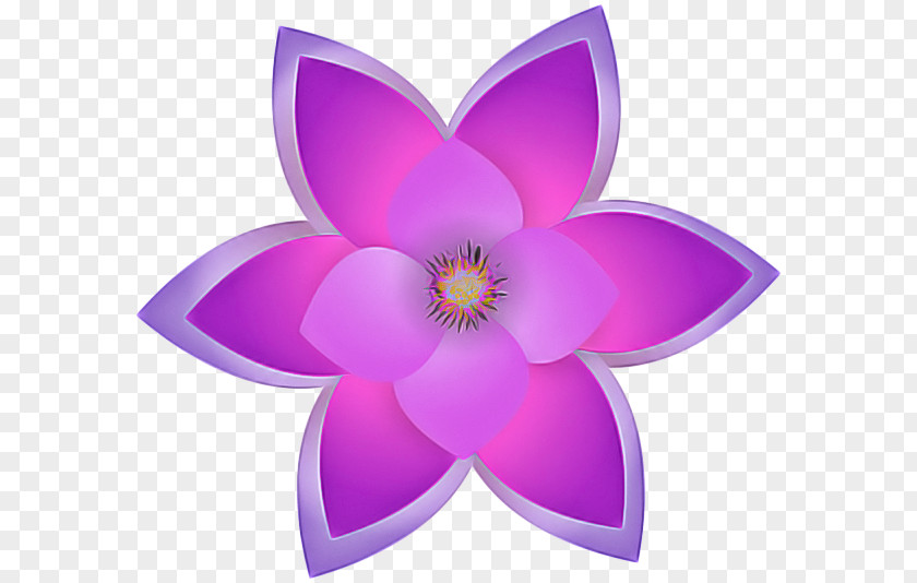 Crocus Herbaceous Plant Pink Flower Cartoon PNG
